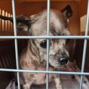 백운장모텔 이미지