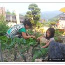 우산정사한옥민박 이미지