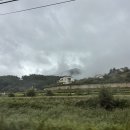 아틴 마루 | 양평 아틴마루ㅣ잠시 생각에 잠기고싶을때 가기좋은, 디지털 디톡스 후기(아틴마루 "썸머" 후기)