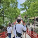 누나스 | '헬레나스' 탈출기: 지옥 같던 현장에서 시작된, 운명적인 후쿠오카 여행 (feat. 아내 유미와의 만남)