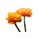 무브플랑 - 창원시 성산구 대암로 253 | 무브플랑