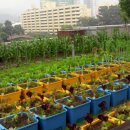 금천구청 이미지