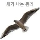 새 이미지