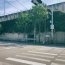 북부동 등산로 이미지