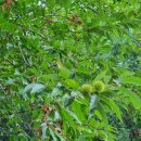 고촌어울림도서관 이미지