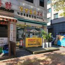 멍냥펫24 이미지