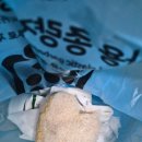 시도 고산로 네이버블로그
