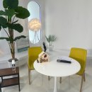 엑스디테일 이미지