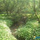 운곡허브 이미지