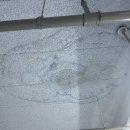 주식회사 용성