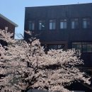 4월 중간고사 말아먹어버림