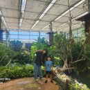 창녕우포곤충나라 이미지