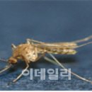 빨간집 이미지