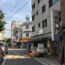 코사우리마트 이미지