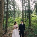 제주의 이유 | 2년 반만에 돌아온 블로그..(제주의오후 후기)