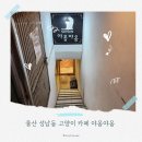 야옹야옹 | 울산 야옹야옹 캣 카페 후기🐾｜아이들과 함께 힐링 가능한 고양이 체험 카페 (입장료·가격·위치정보)