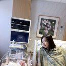 (주)맘스(Moms)