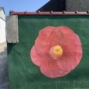 옥화장 | 국내 제주도 여행 12박 13일 part.17 제주 조천읍 함덕 돌담집 독채 감성숙소 옥화장 후기
