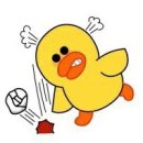 주싸롱 이미지