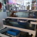 화전초 사거리 초등학교 입구 | 기본찬부터 이미 술안주/ 미아사거리 만개횟집