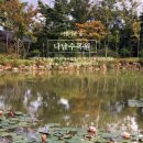나남수목원(책박물관) 이미지