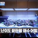 부자건축인테리어 이미지