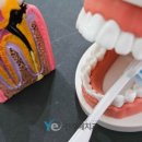 전주예치과의원 이미지