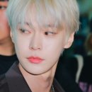 앙고라 로라