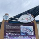 설피공간 | [강원 인제] 최고 친절한 사장님이 직접 지은 전통 너와집에서 특별한 경험! &lt;고메똥골&gt; 펜션 솔직후기