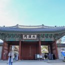 서울시의회 | 대한제국의 황궁이었던 서울 가볼만한곳 덕수궁