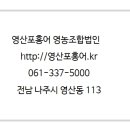영산포홍어영농조합법인 이미지