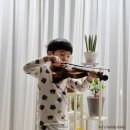 작은별 바이올린 교습소 | 청주 바이올린 청주현악공방 연습용 구입후기