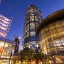 리츠칼튼여관 | 도쿄 여행 호텔(숙소) 고르는 완벽한 가이드