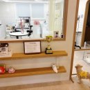 비키펫 살롱 이미지