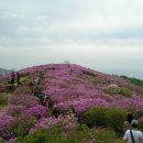 6월 1일 제1회 청옥산 철쭉제및 친환경등산문화실천대회 이미지