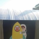 명지유치원 이미지