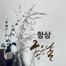 항상좋은날 Daum카페
