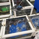 상일수산 이미지