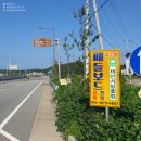 태안서핑클럽