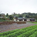 마산리경로당 이미지