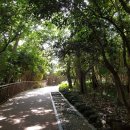 오동동193 | 여수시티투어 낭만버스 1코스 오동도,진남관,이순신광장