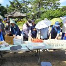 도시와농촌 이미지