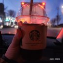 4월 첫째주 일상 : 강릉여행 😍