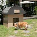 따숩개하우스 이미지