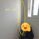 2024042 이미지