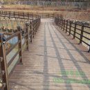 유수지근린공원 이미지