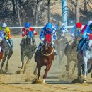 10월 17일 토요일 오후 12시30분 렛츠런파크 모임 합니다 이미지