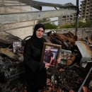 1982 PET FOOD 이미지