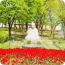 지에스25춘천캐슬점 | 인계동 음식점 중 신림춘천집 나혜석거리점이 모임 장소로 좋은 이유