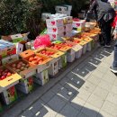 화원시장 이미지